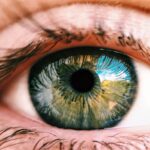 Pogorszenie się wzroku to naturalne zjawisko, które zachodzi wraz ze starzeniem się naszego organizmu. Najczęściej osoby, które dotyka ten problem, decydują się na zastosowanie suplementów diety, które przyczyniają się do poprawy wzroku. Skuteczne tabletki na poprawę wzroku powinny zawierać w swoim składzie takie substancje, jak luteina, różne witaminy oraz cynk. Gorszy wzrok to problem, który najczęściej objawia się u osób po pięćdziesiątym roku życia. Dodatkowo przyczyną pogorszenia się wzroku może być miażdżyca, nadciśnienie, albo nadmierne palenie wyrobów tytoniowych. Przede wszystkim suplementy diety na poprawę wzroku są stosowane głównie, jako profilaktyka. Obecnie coraz więcej młodych osób zmaga się z problemami pogarszające się wzroku, który jest przyczyną nadmiernego korzystania z telefonów komórkowych. W związku z tym pojawia się pytania, które tabletki na poprawę wzroku wybrać? W dalszej części przedstawimy ranking najpopularniejszych tabletek i sprawdzimy, jakie można znaleźć opinie o takiej formie suplementacji. Jakie pojawiają się opinie o tabletkach na poprawę wzroku?   Proces starzenia się organizmu to naturalne zjawisko. W tym czasie ulega pogorszeniu wiele funkcji życiowych w tym również nasz wzrok. Najczęściej przyczyną takich problemów jest nasilające się zwyrodnienie plamki żółtej, czyli inaczej nazywane AMD. Przede wszystkim powstawanie objawów AMD jest spowodowane takimi czynnikami, jak jasna tęczówka oka, miażdżyca czy zbyt częste wystawianie się na działanie promieni słonecznych. Dotychczas nie opracowano skutecznej metody na całkowite wyleczenie takich chorób zwyrodnieniowych. Obecnie najczęściej profilaktyka polega na stosowaniu tabletek na poprawę wzroku, które dzięki zawartym substancjom czynnym w swoim składzie przyczyniają się do maksymalnego opóźnienia degradacji plamek żółtych, dlatego są one coraz chętniej stosowane i zyskują pozytywne opinie. W tym przypadku warto zastosować te tabletki na poprawę wzroku, które zawierają luteiną, witaminy A/C, oraz ekstrakt roślinny z borówki. Tabletki na poprawę wzroku to forma suplementacji, na którą decyduje się również coraz częściej młodsze osoby, które poprzez prowadzony tryb życia i spędzanie dużej ilości czasu przed komputerami, albo smartfonami miewają problemy ze wzrokiem. Przede wszystkim takie suplementy diety ze względu na swoją wysoką skuteczność, zyskują przychylne opinie w sieci. Pogarszający się wzrok może być również przyczyną zmęczenia, lub braku snu. Oczywiście należy pamiętać o tym, że przed podjęciem decyzji o zastosowaniu tabletek na poprawę wzroku warto skonsultować się z lekarzem. Być może objawy w postaci pogarszającego się wzroku mogą być przyczyną rozwijającej się choroby, dlatego warto wykonać szczegółową diagnozę i poznać opinie lekarzy na ten temat. W dalszej części wpisu przygotowaliśmy ranking skutecznych tabletek na poprawę wzroku. Skuteczne tabletki na poprawę wzroku – ranking   W takim razie, jakie tabletki na poprawę wzroku wybrać? Poniżej został przygotowany przez nas ranking, który powstał na podstawie pojawiających się opinii w sieci. Poniższe suplementy diety na poprawę oczu, wykazują się wysoką skutecznością. W pierwszej kolejności, w naszym rankingu pojawia się suplement Vitroft, który zawiera dużą ilość witaminy C, L-lizyny, hesperydyny i wiele innych substancji aktywnych. W sieci pojawia się wiele przychylnych opinii o tym suplemencie. Kolejny suplement to Resvega, który charakteryzuje się tym, że wykazuje działania antyoksydacyjne, które przyczyniają się do niwelowania degradacji plamek żółtych. Dodatkowo Resvega zawiera w swoim składzie również kwasy tłuszczowe Omega-3. W naszym rankingu postanowiliśmy również umieścić suplement diety – Maxiluten, który odpowiada za zwiększoną odporność siatkową oraz soczewek oka. W ten sposób poprzez odpowiednie stosowanie takiego suplementu można wzmocnić ostrość widzenia. Przede wszystkim tabletki na poprawę wzroku to suplementy, które przyczyniają się do znacznej poprawy jakości oczu oraz są odpowiedzialne za ochronę przed szkodliwymi działaniami promieni słonecznych. Należy pamiętać o tym, że odpowiednio zbilansowana dieta i prowadzenie odpowiedniego trybu życia to filary do zachowania odpowiedniej jakości wzroku.