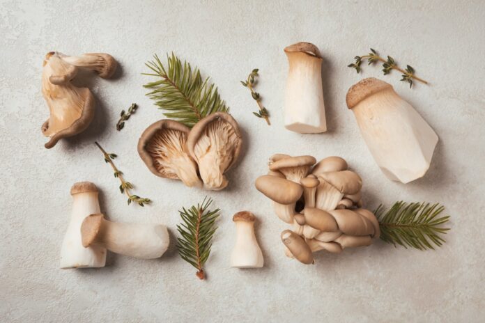 Grzyby funkcjonalne a zdrowie. Co nauka mówi o soplówce jeżowatej, reishi i cordycepsie?